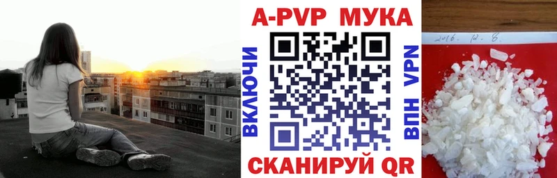 А ПВП СК  Новоалександровск 