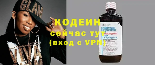 гашик Нея