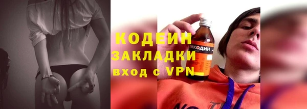 гашик Нея