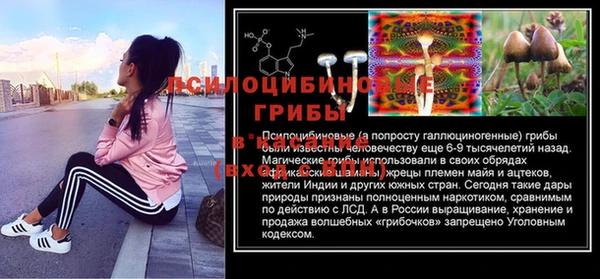 молекула духа Новодвинск