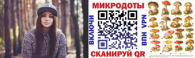 ОМГ ОМГ как зайти  Новоалександровск  Псилоцибиновые грибы Magic Shrooms 